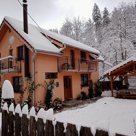 Cîrţişoara Casa Iulia & Matei 빌라 외부 사진