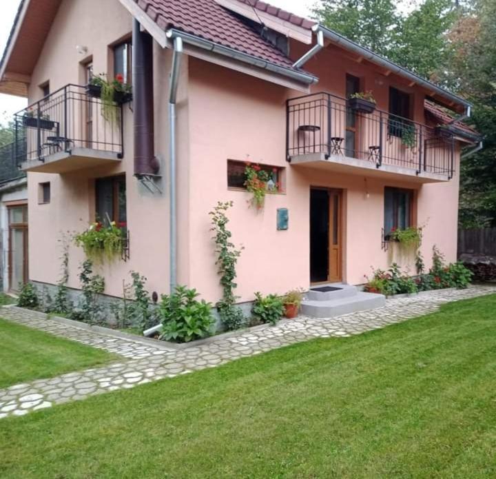 Cîrţişoara Casa Iulia & Matei 빌라 외부 사진