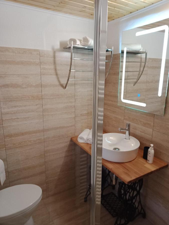 Cîrţişoara Casa Iulia & Matei 빌라 외부 사진
