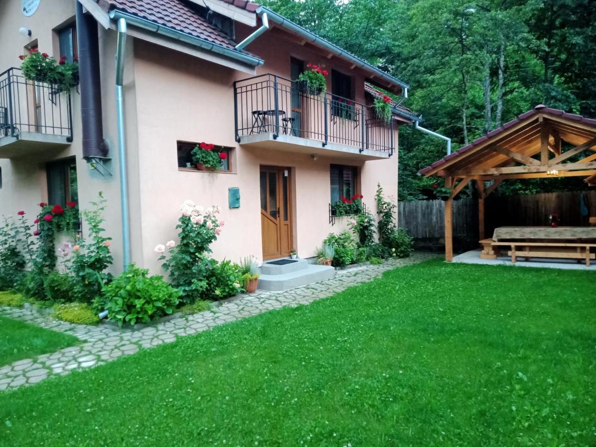 Cîrţişoara Casa Iulia & Matei 빌라 외부 사진